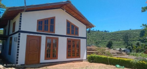 Dream wood villa 02